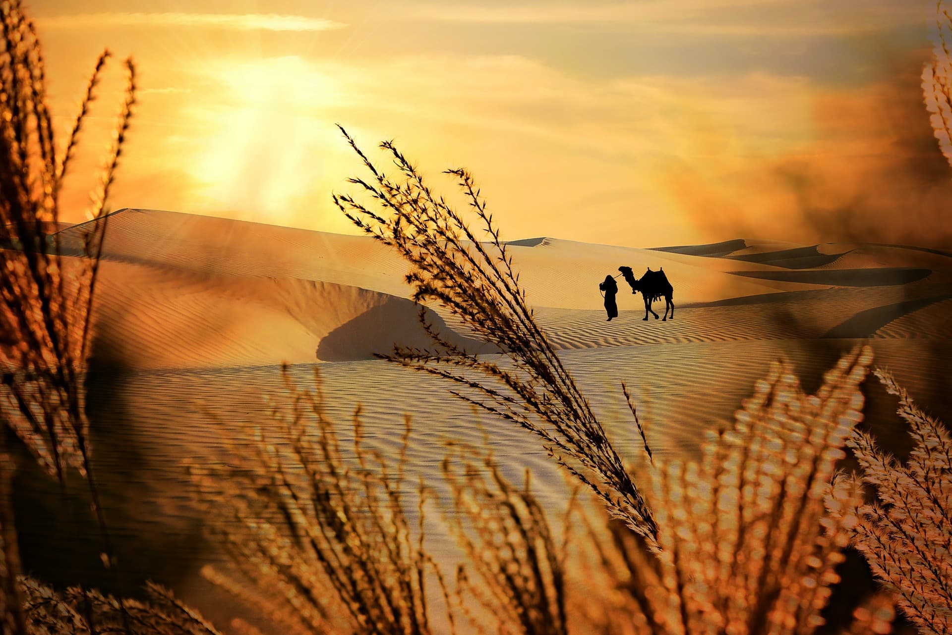 YWAM Jordan — dts